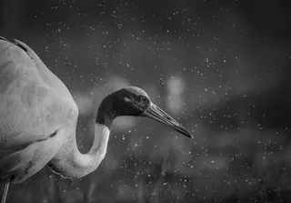 Awesome captions make better photos