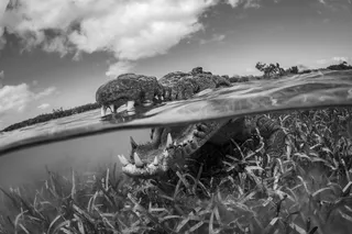 Awesome captions make better photos