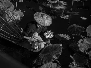 Floating down the river